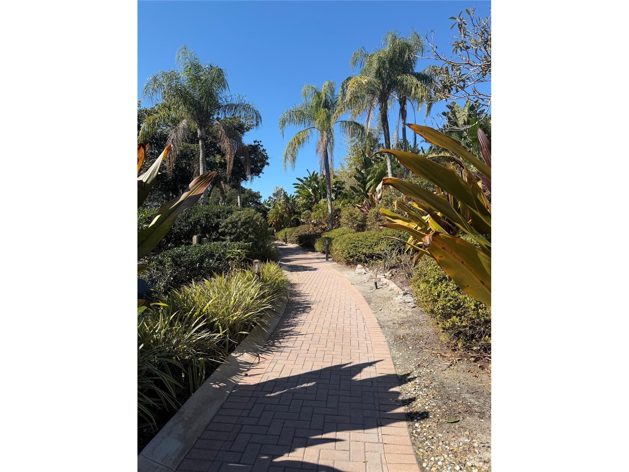 1708 Triano Circle #1708 Venice FL 34292 TB8475946 image53