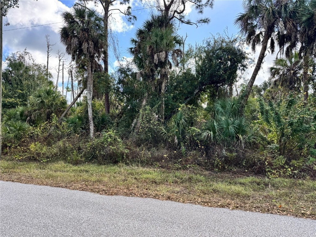 17081 Fallkirk Avenue Port Charlotte FL 33954 D6145255 image3