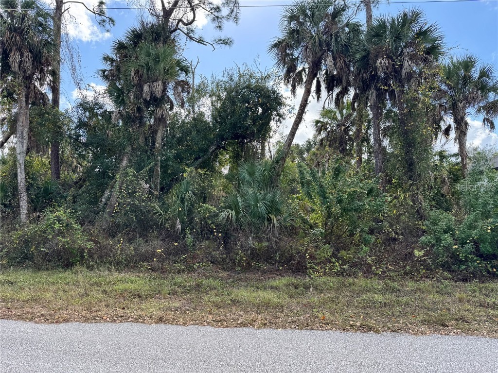 17081 Fallkirk Avenue Port Charlotte FL 33954 D6145255 image4