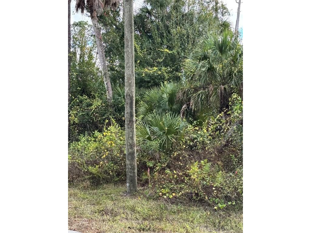 17081 Fallkirk Avenue Port Charlotte FL 33954 D6145255 image6