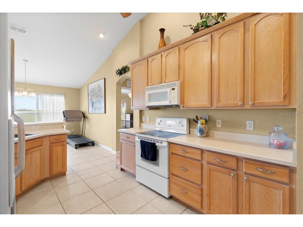 17083 SE 115th Terrace Road Summerfield FL 34491 OM707914 image15