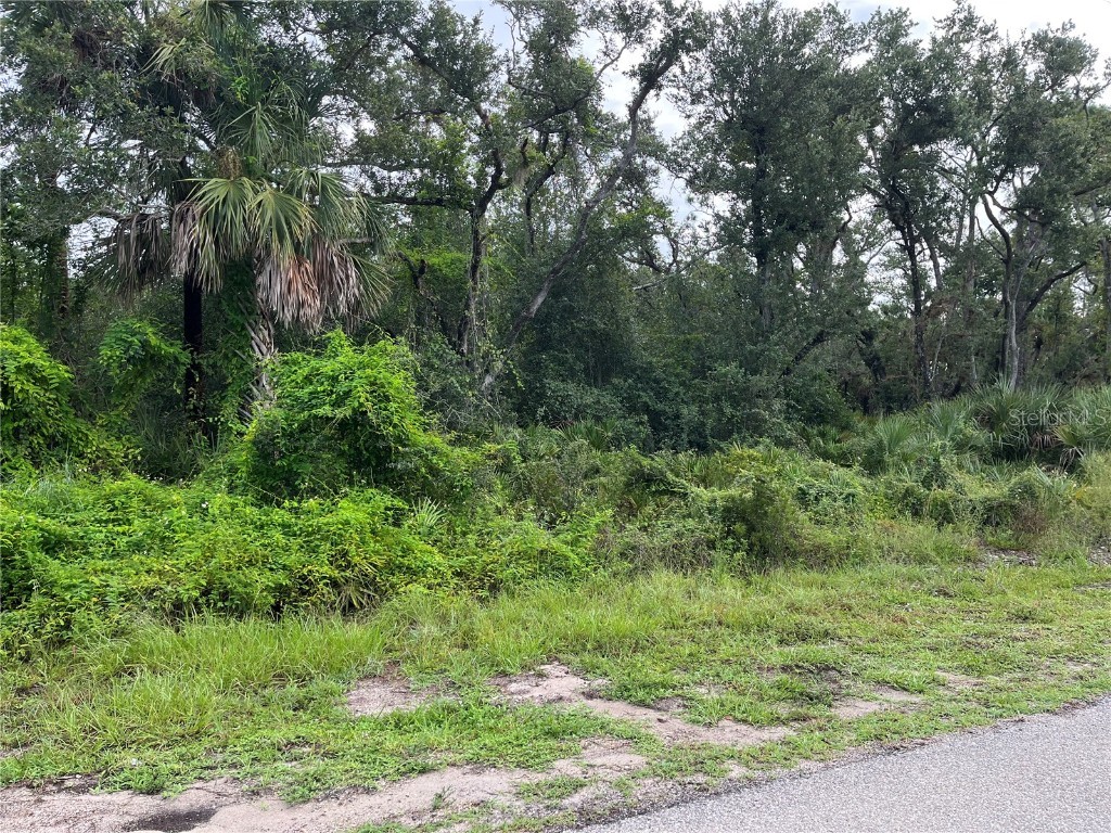 17084 Johns Avenue Port Charlotte FL 33948 C7514289 image1