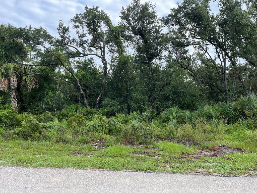 17084 Johns Avenue Port Charlotte FL 33948 C7514289 image2