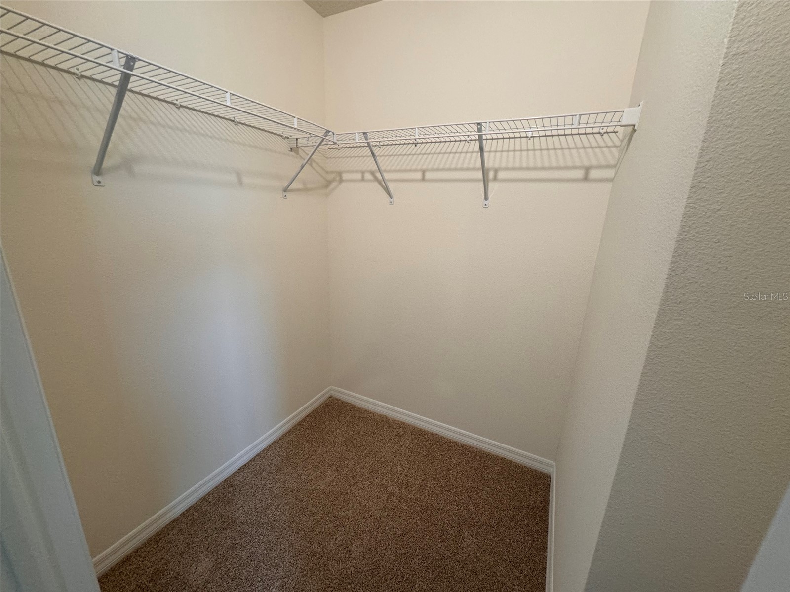 17085 Water Spring Boulevard Winter Garden FL 34787 O6413403 image27