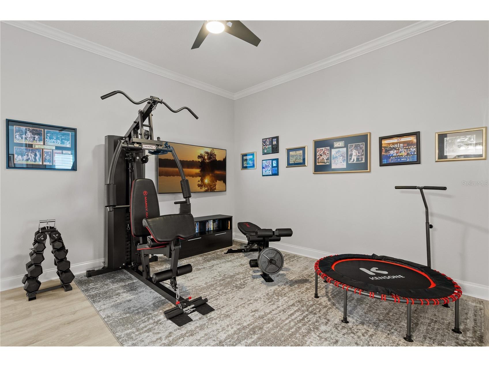 17088 Secret Hollow Loop Clermont FL 34711 - ST. JOHN'S LAKE O6405582 image46