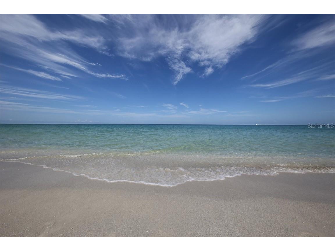 1709 Curry Trail #30 Nokomis FL 34275 A4668481 image38