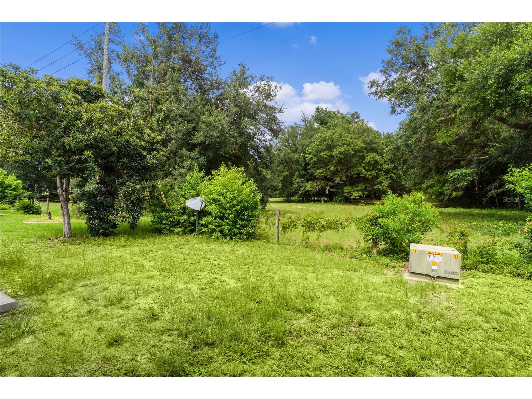 1709 E Schwartz Boulevard The Villages FL 32159 G5111902 image3