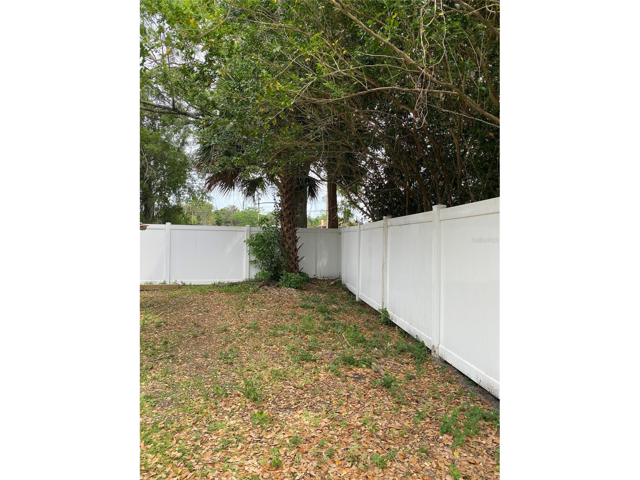 1709 Fairview Shores Drive Orlando FL 32804 O6407581 image24