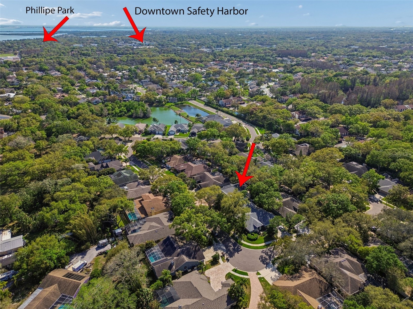 1709 La Forest Avenue Safety Harbor FL 34695 TB8485479 image100