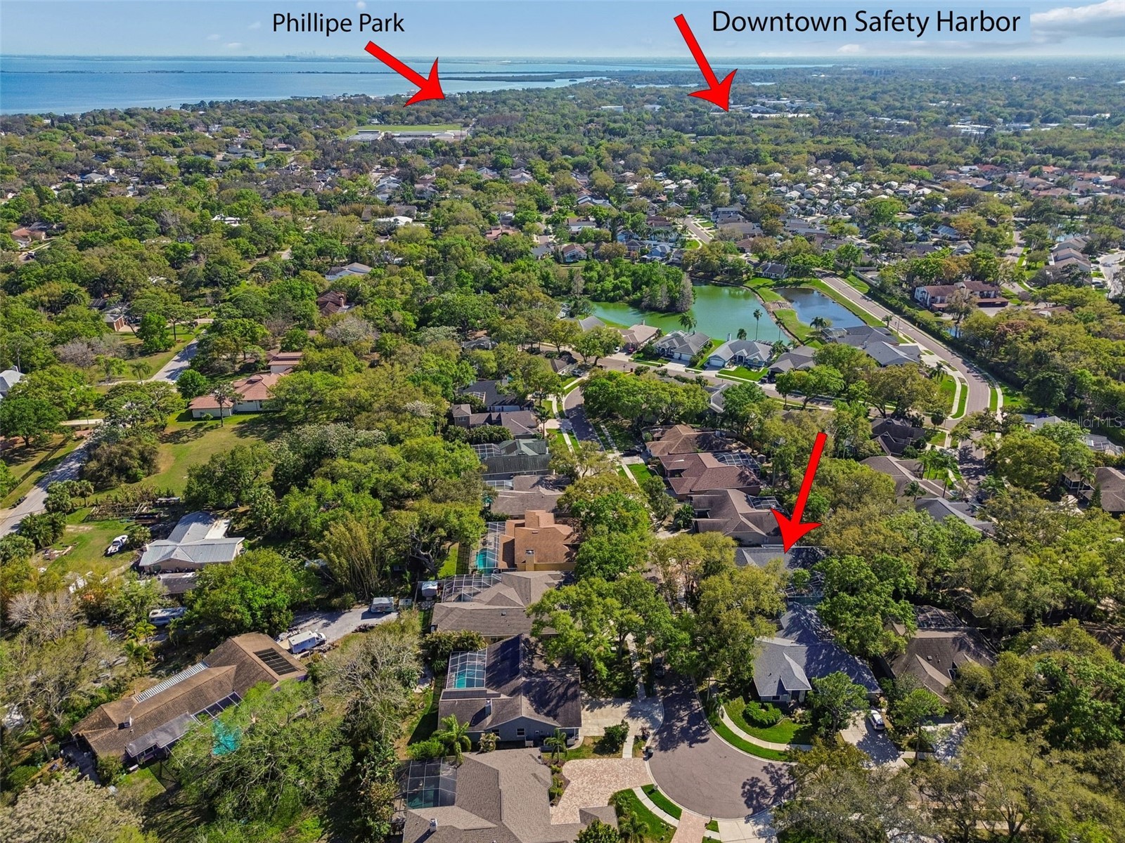 1709 La Forest Avenue Safety Harbor FL 34695 TB8485479 image4