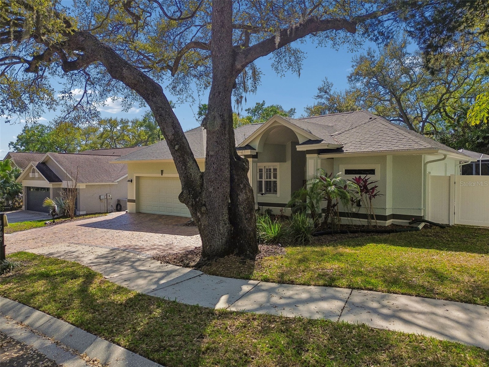 1709 La Forest Avenue Safety Harbor FL 34695 TB8485479 image51