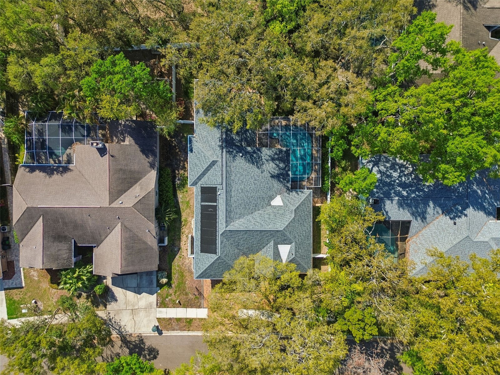1709 La Forest Avenue Safety Harbor FL 34695 TB8485479 image52