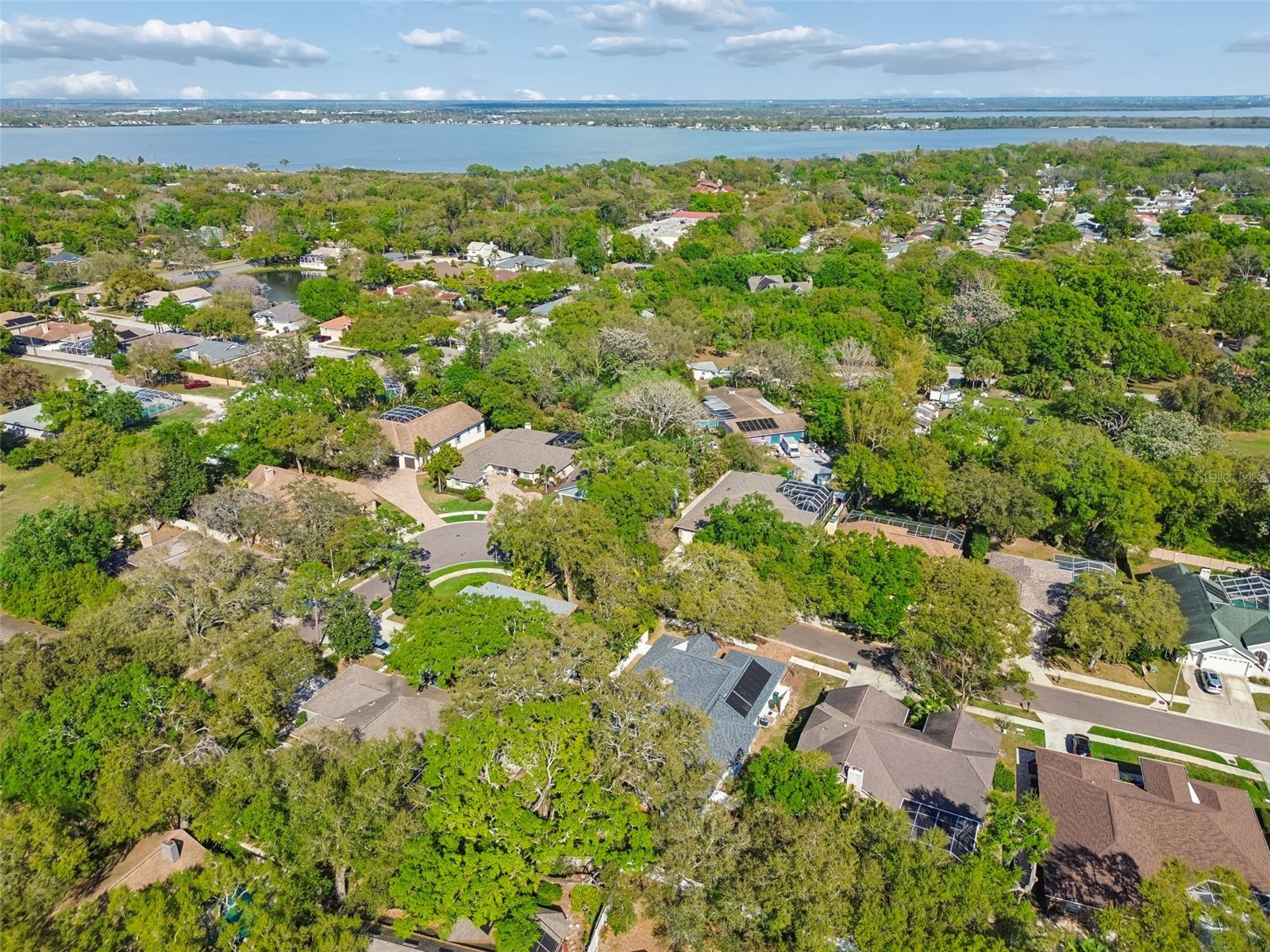 1709 La Forest Avenue Safety Harbor FL 34695 TB8485479 image54