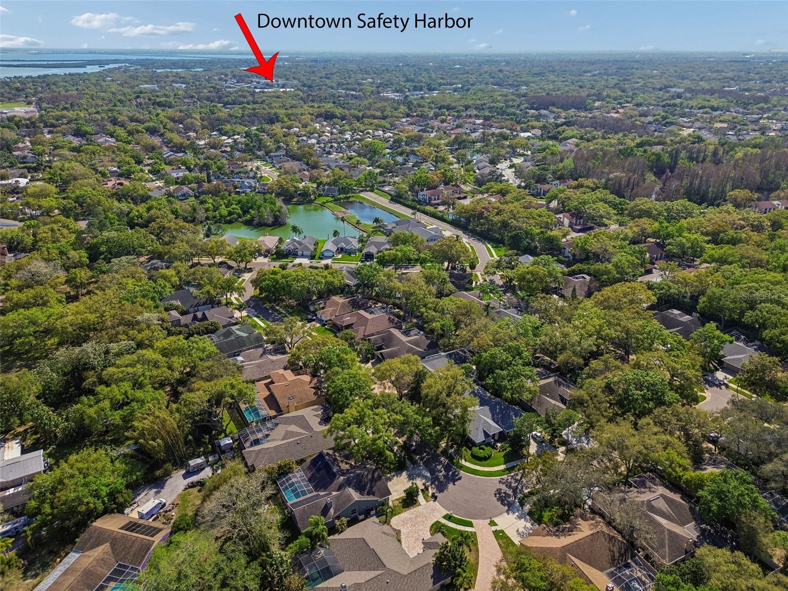 1709 La Forest Avenue Safety Harbor FL 34695 TB8485479 image55