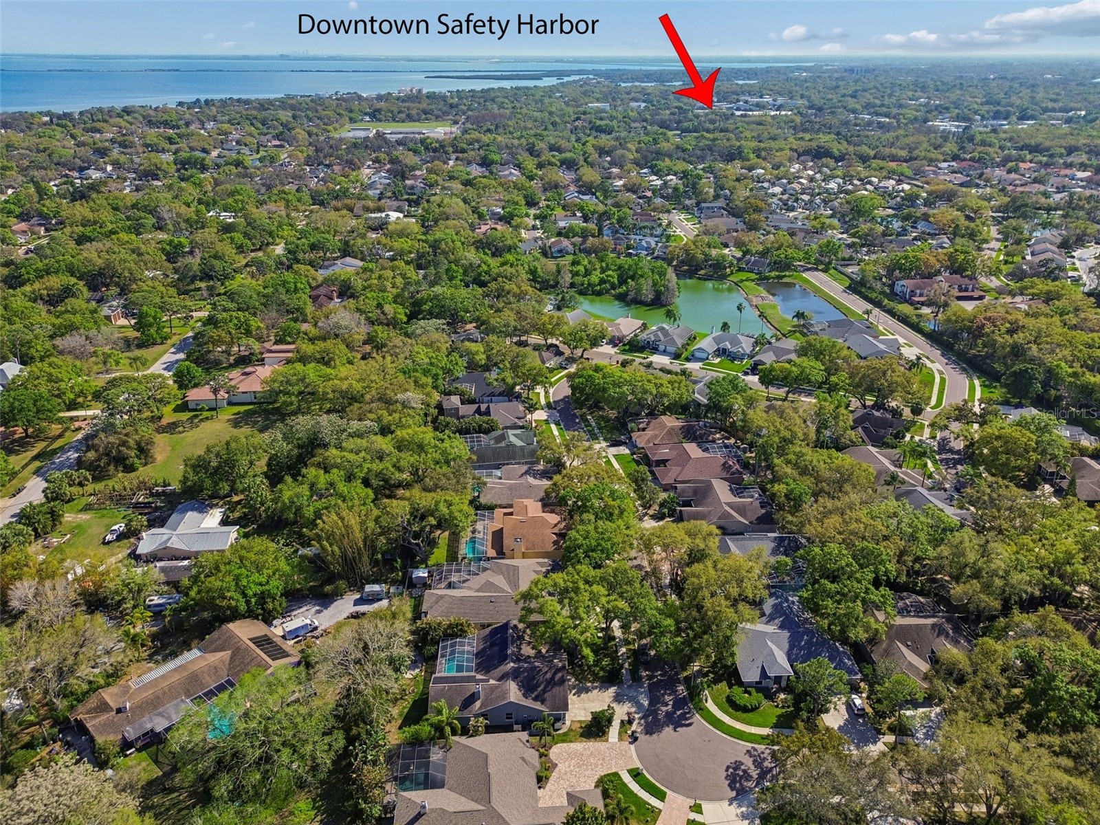 1709 La Forest Avenue Safety Harbor FL 34695 TB8485479 image61