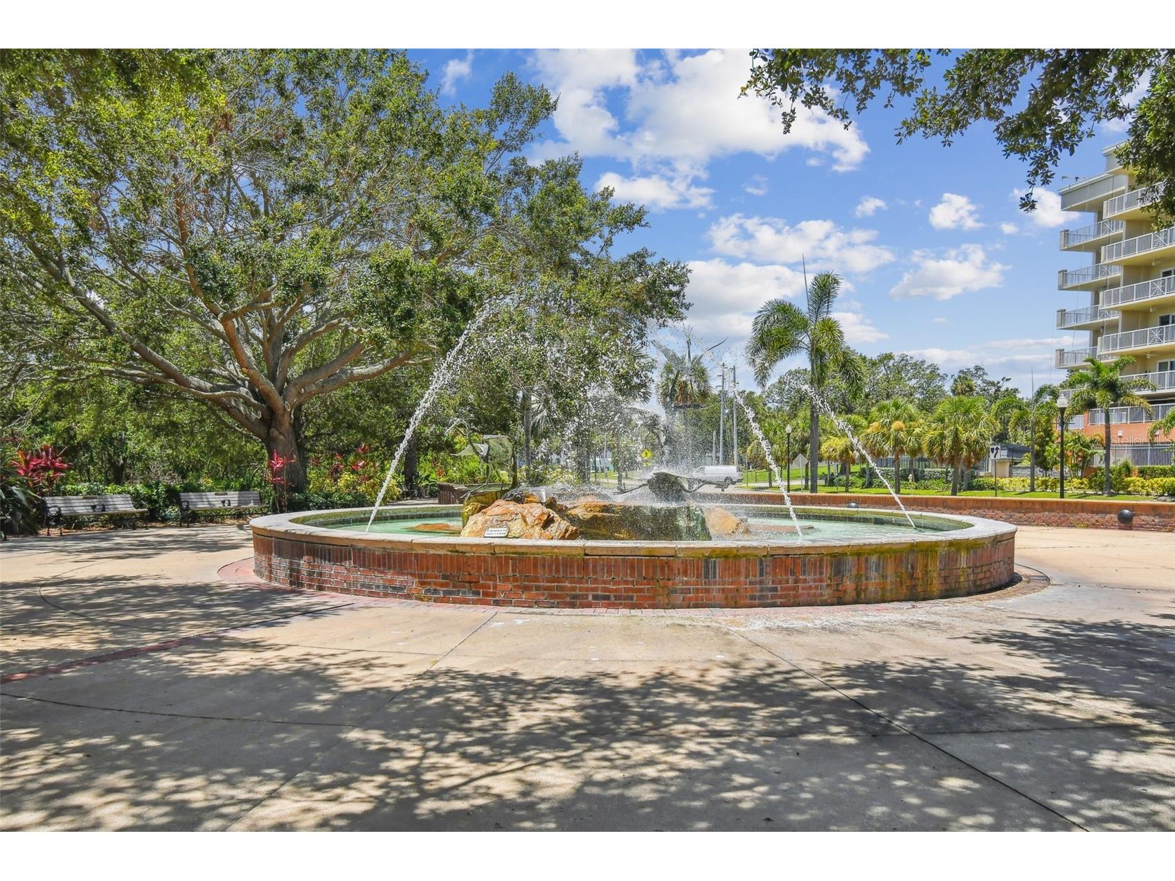 1709 La Forest Avenue Safety Harbor FL 34695 TB8485479 image62