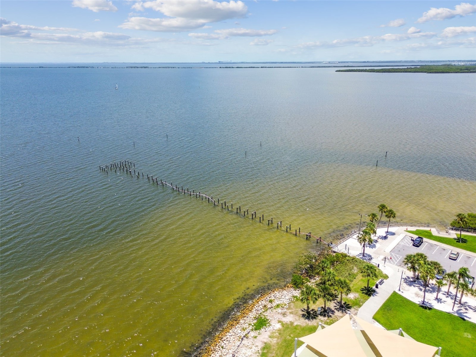 1709 La Forest Avenue Safety Harbor FL 34695 TB8485479 image65