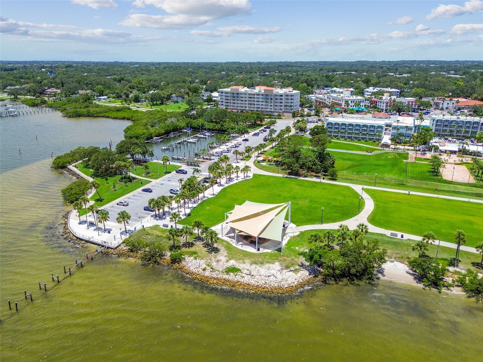 1709 La Forest Avenue Safety Harbor FL 34695 TB8485479 image66