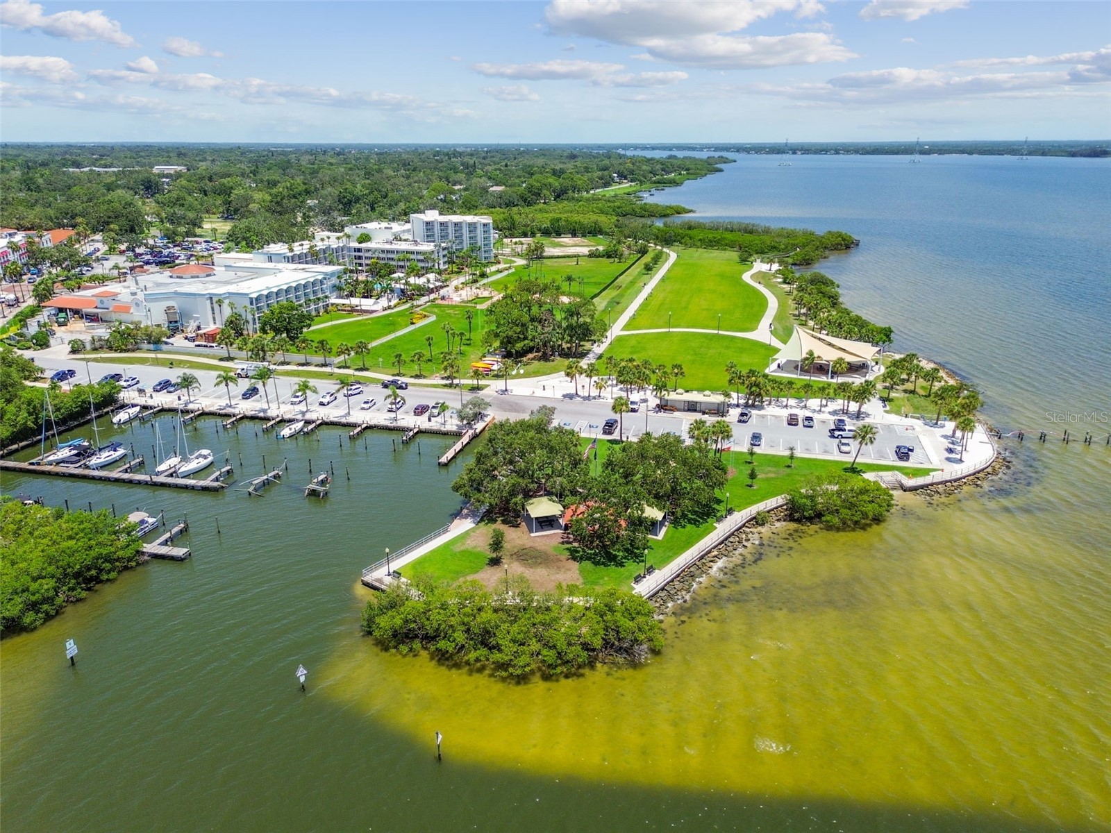 1709 La Forest Avenue Safety Harbor FL 34695 TB8485479 image67