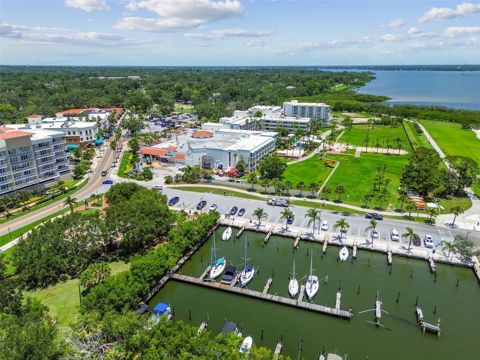 1709 La Forest Avenue Safety Harbor FL 34695 TB8485479 image68