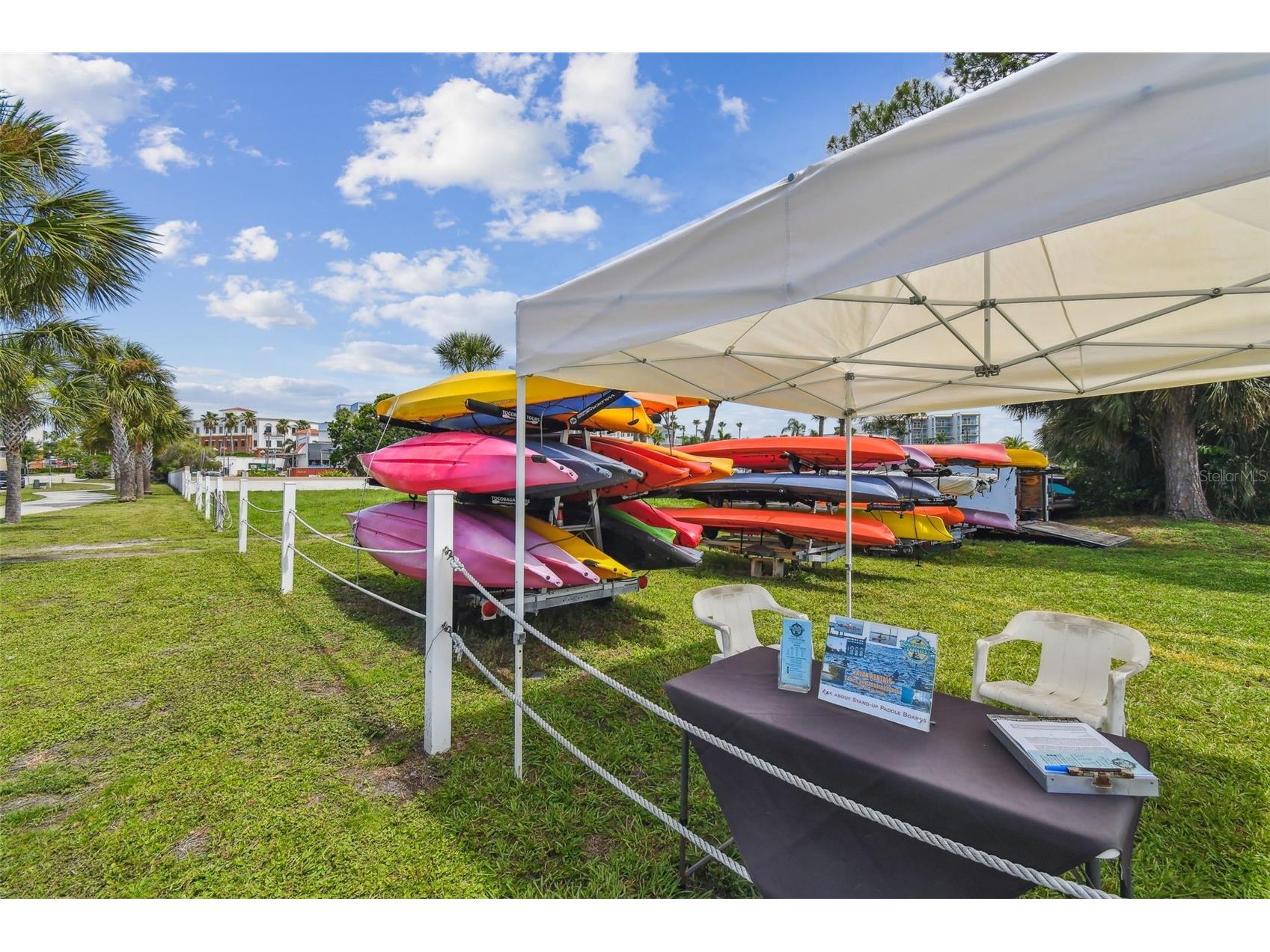 1709 La Forest Avenue Safety Harbor FL 34695 TB8485479 image75