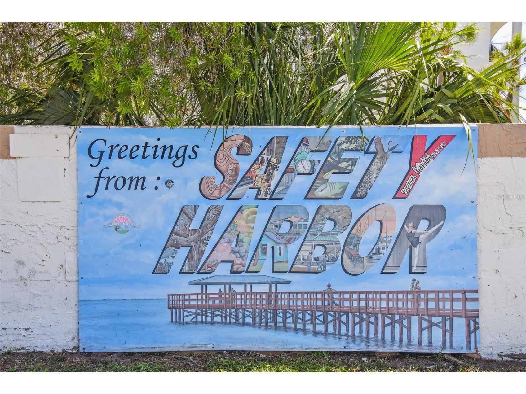 1709 La Forest Avenue Safety Harbor FL 34695 TB8485479 image80