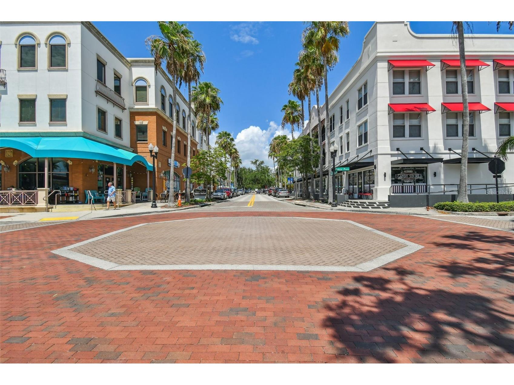 1709 La Forest Avenue Safety Harbor FL 34695 TB8485479 image82