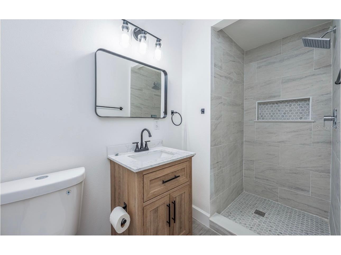 1709 Lake Lorine Drive Orlando FL 32808 S5145359 image21