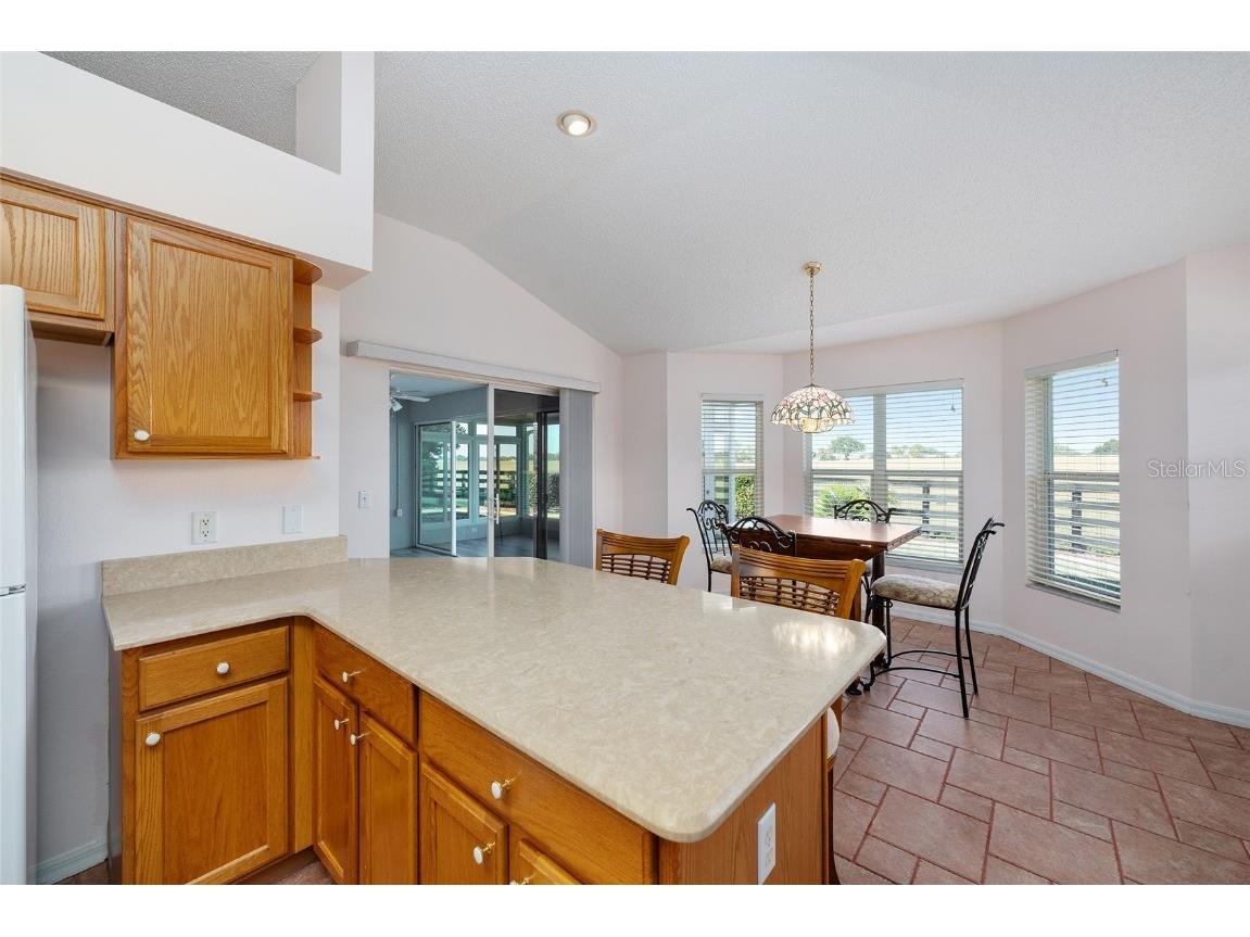 1709 Madero Drive The Villages FL 32159 G5105034 image35