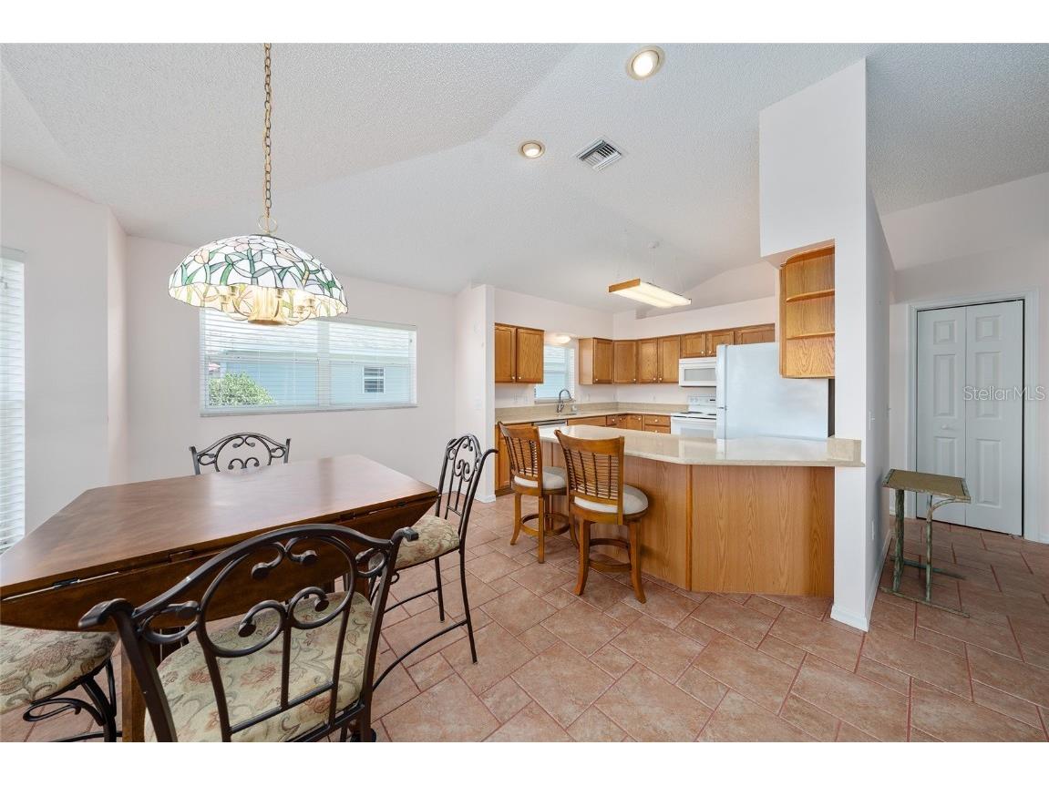 1709 Madero Drive The Villages FL 32159 G5105034 image36