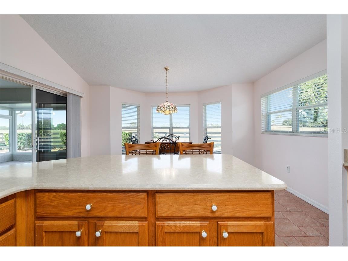 1709 Madero Drive The Villages FL 32159 G5105034 image38