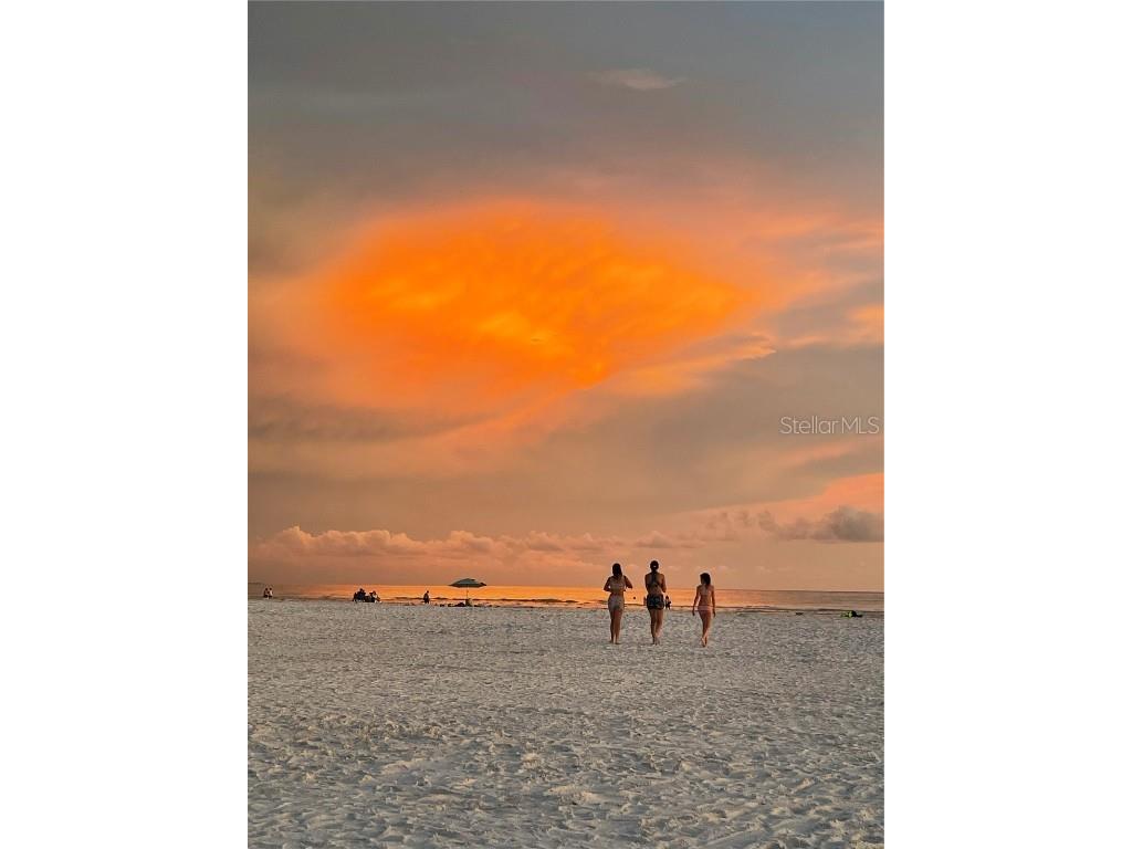 1709 N Tamiami Trail #213 Sarasota FL 34234 - WHITAKER BAYOU A4656678 image47