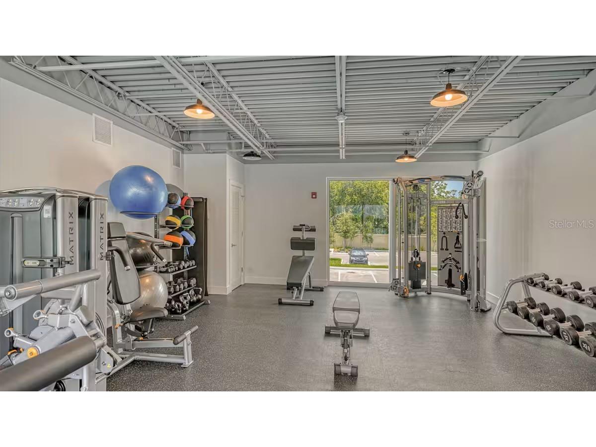 1709 N Tamiami Trail #220 Sarasota FL 34234 O6325748 image17