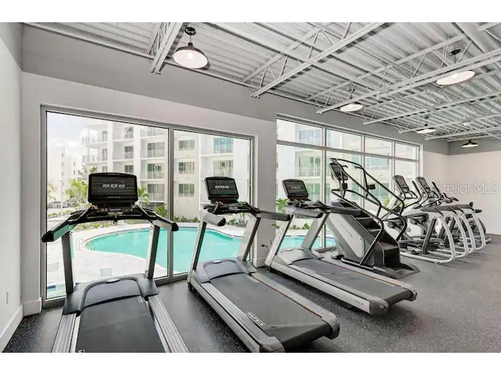 1709 N Tamiami Trail #425 Sarasota FL 34234 TB8434282 image32