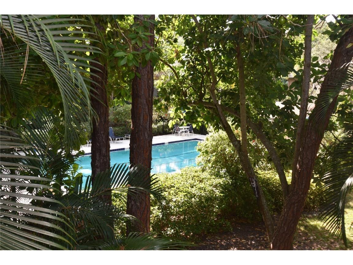 1709 Pelican Cove Road #GL446 Sarasota FL 34231 A4565046 image7