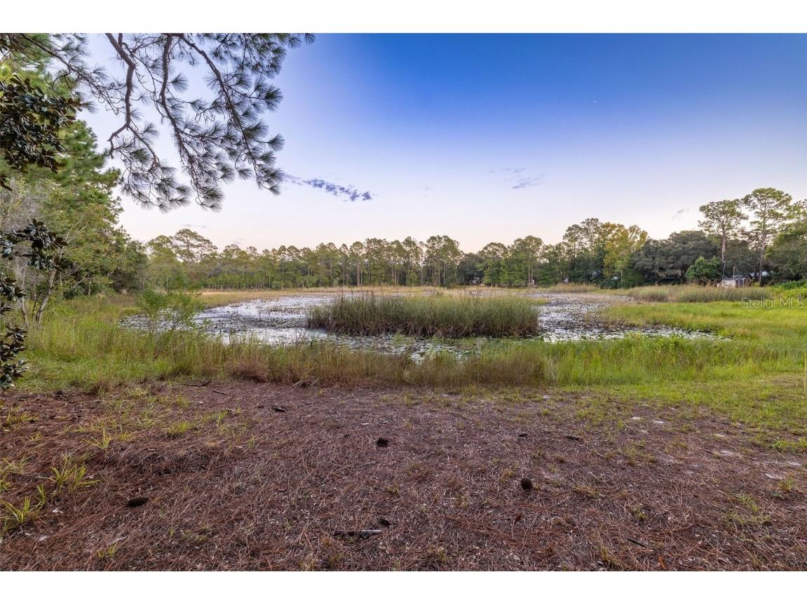 1709 SE 169th Terrace Road Silver Springs FL 34488 OM710733 image64