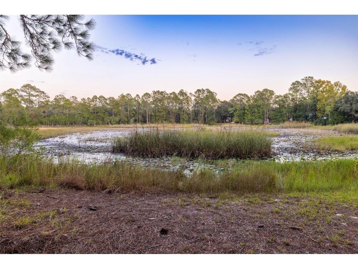 1709 SE 169th Terrace Road Silver Springs FL 34488 OM710733 image65