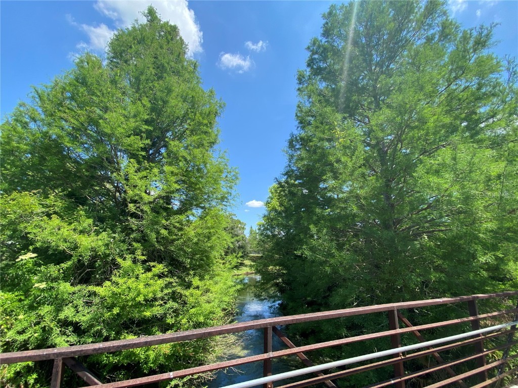 1709 Shady Ridge Court #243 Orlando FL 32807 O6323605 image31