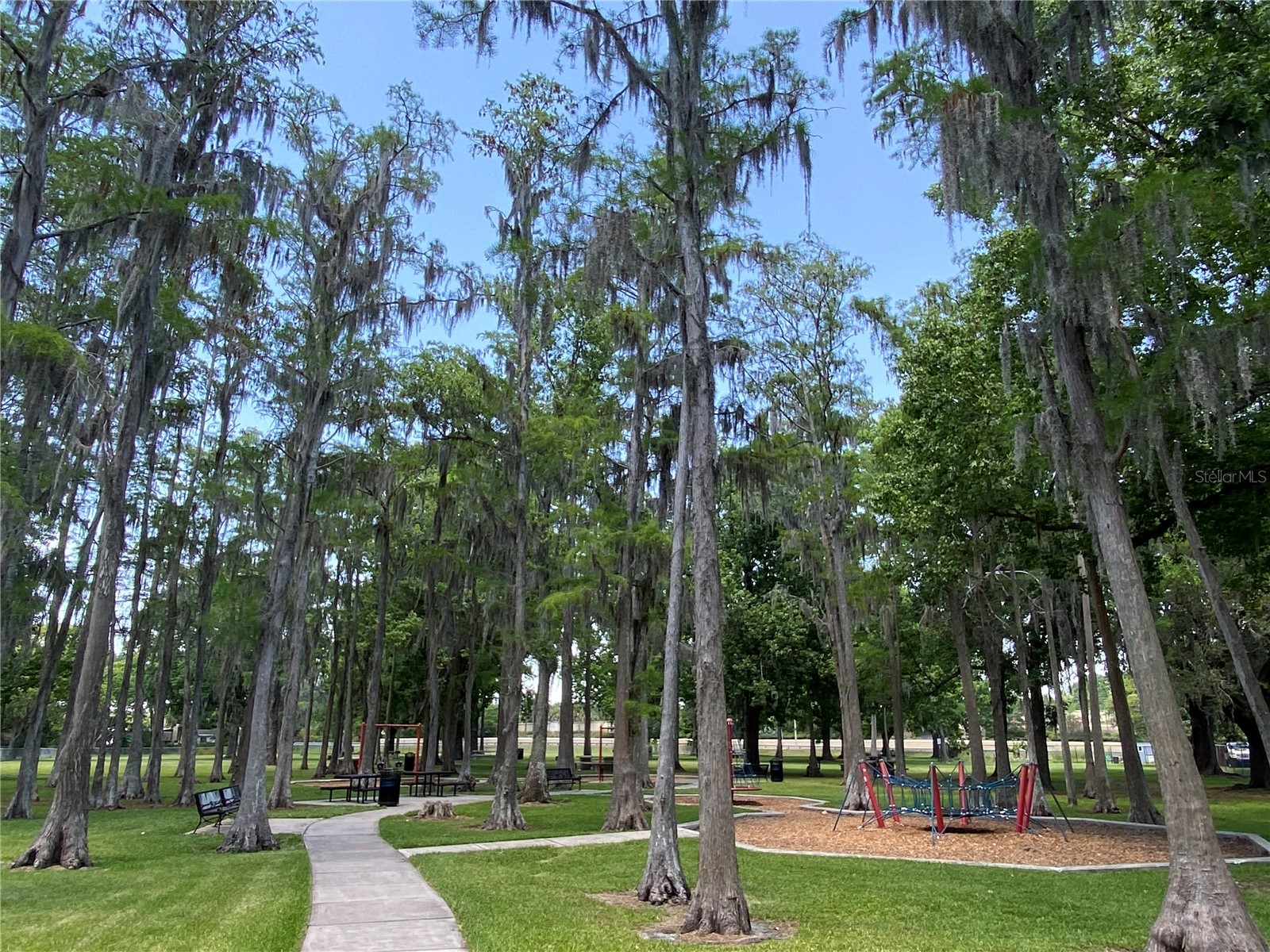 1709 Shady Ridge Court #243 Orlando FL 32807 O6323605 image67