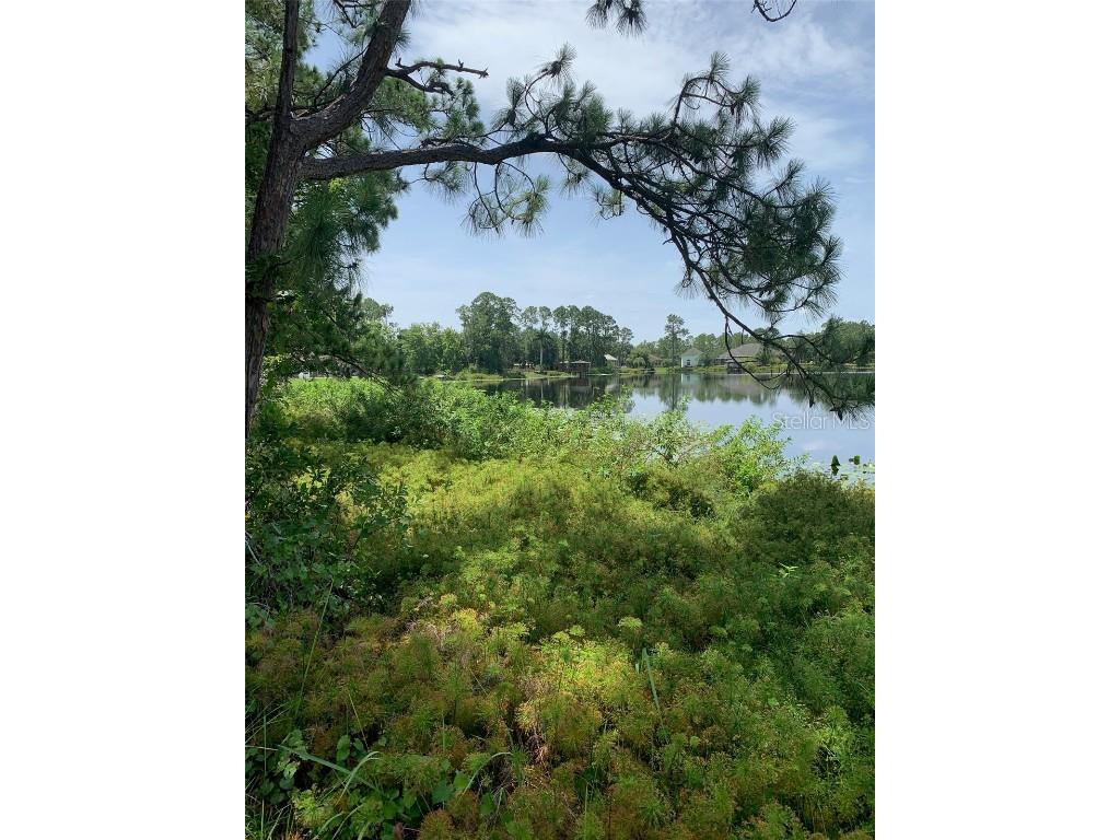 1709 Stream Avenue Sebring FL 33875 - LAKE KEYS B4901989 image4