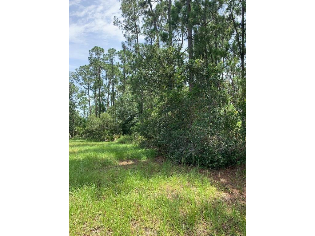 1709 Stream Avenue Sebring FL 33875 - LAKE KEYS B4901989 image6