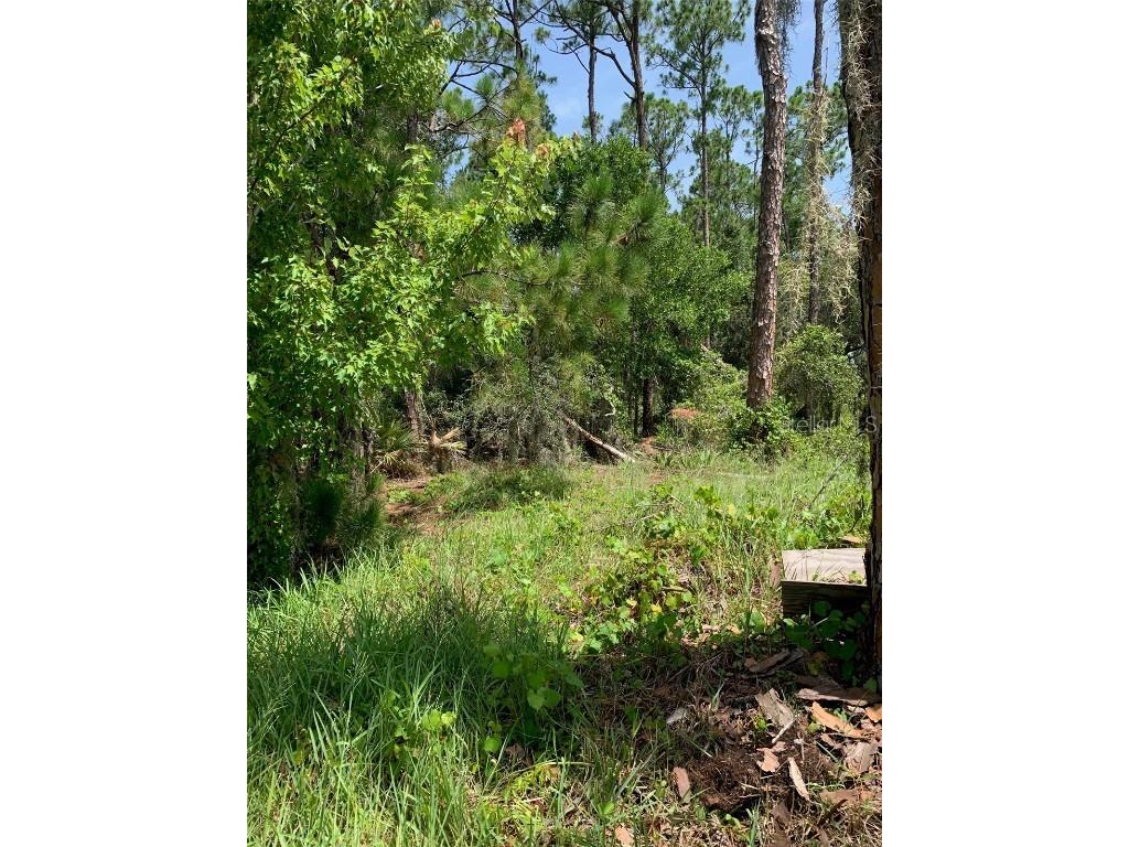 1709 Stream Avenue Sebring FL 33875 - LAKE KEYS B4901989 image7