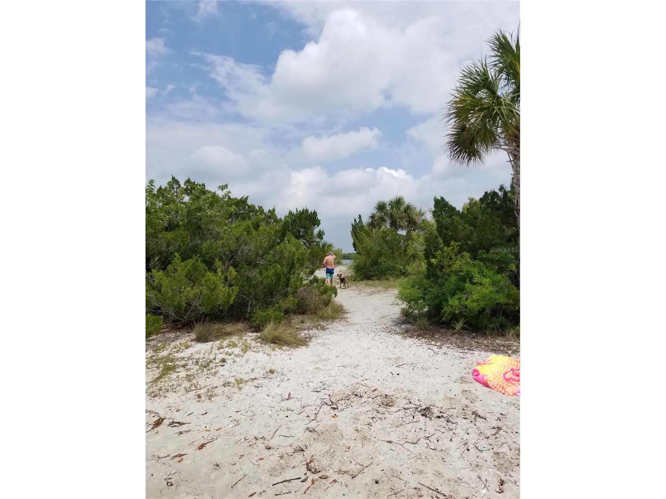 1709 Umbrella Tree Drive Edgewater FL 32132 NS1087578 image28