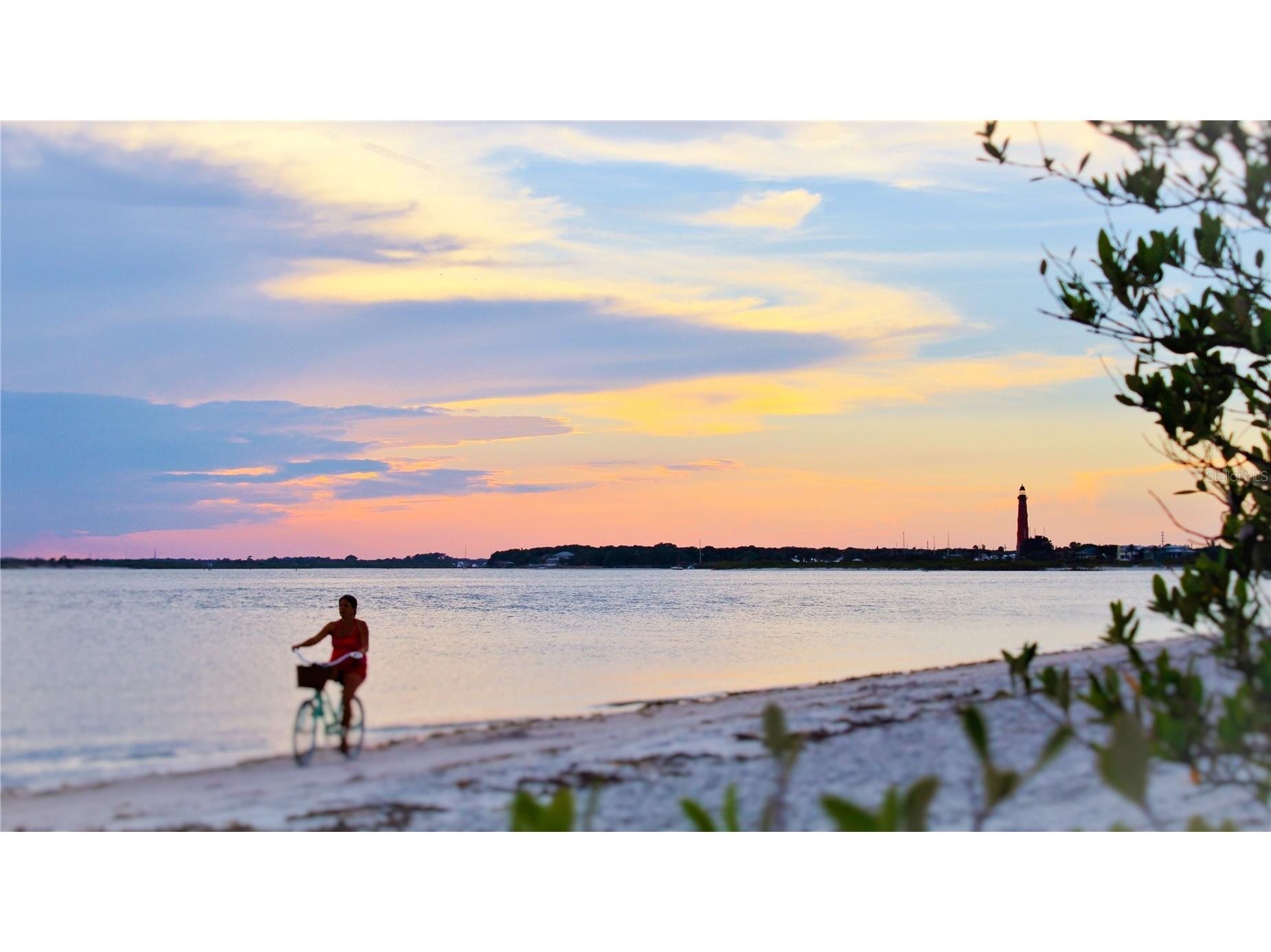 1709 Umbrella Tree Drive Edgewater FL 32132 NS1087578 image32