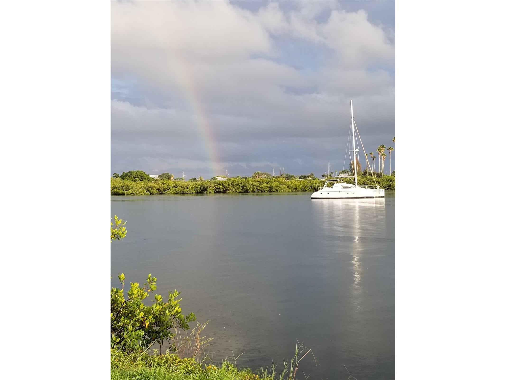 1709 Umbrella Tree Drive Edgewater FL 32132 NS1087578 image33