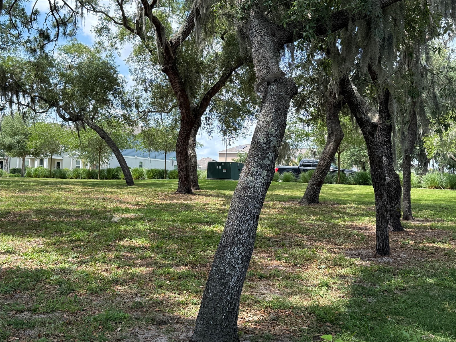 17090 Harbor Oak Parkway Winter Garden FL 34787 G5111718 image31