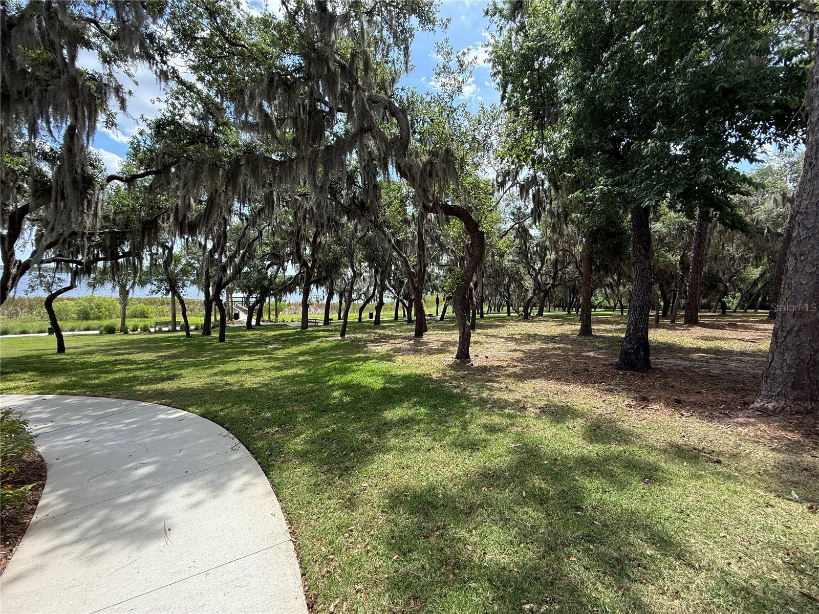 17090 Harbor Oak Parkway Winter Garden FL 34787 G5111718 image32