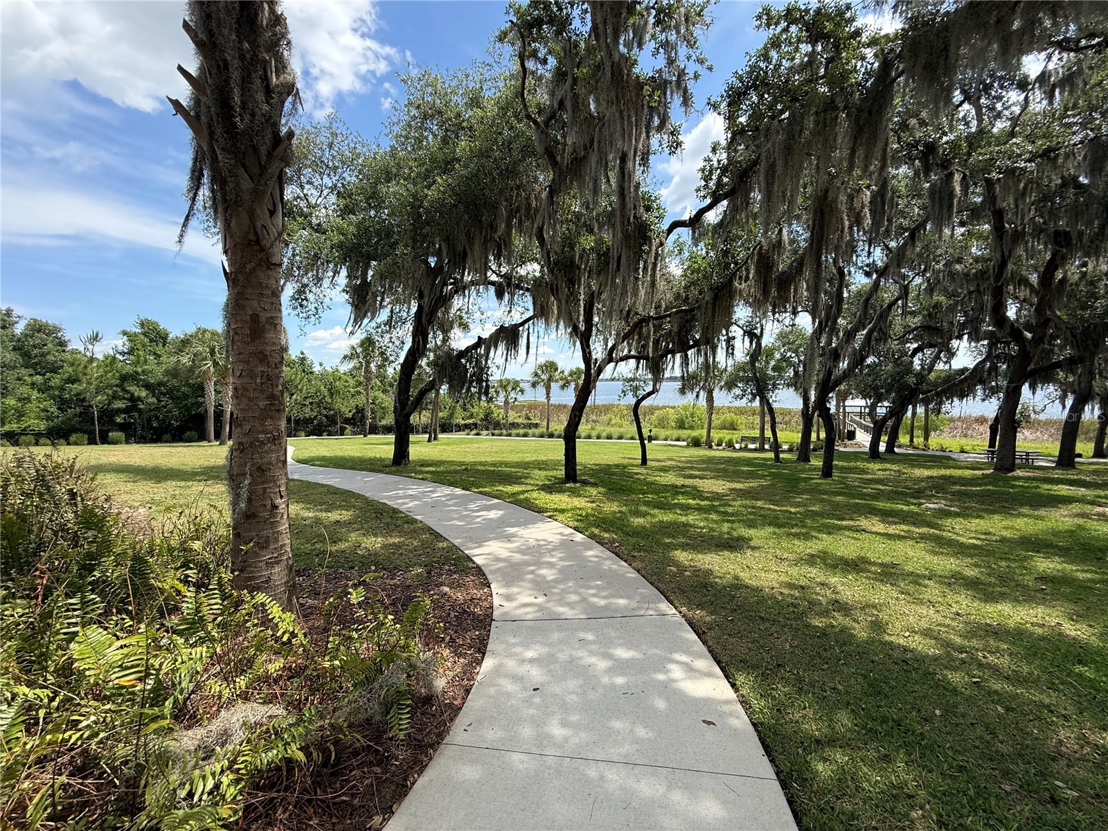 17090 Harbor Oak Parkway Winter Garden FL 34787 G5111718 image33