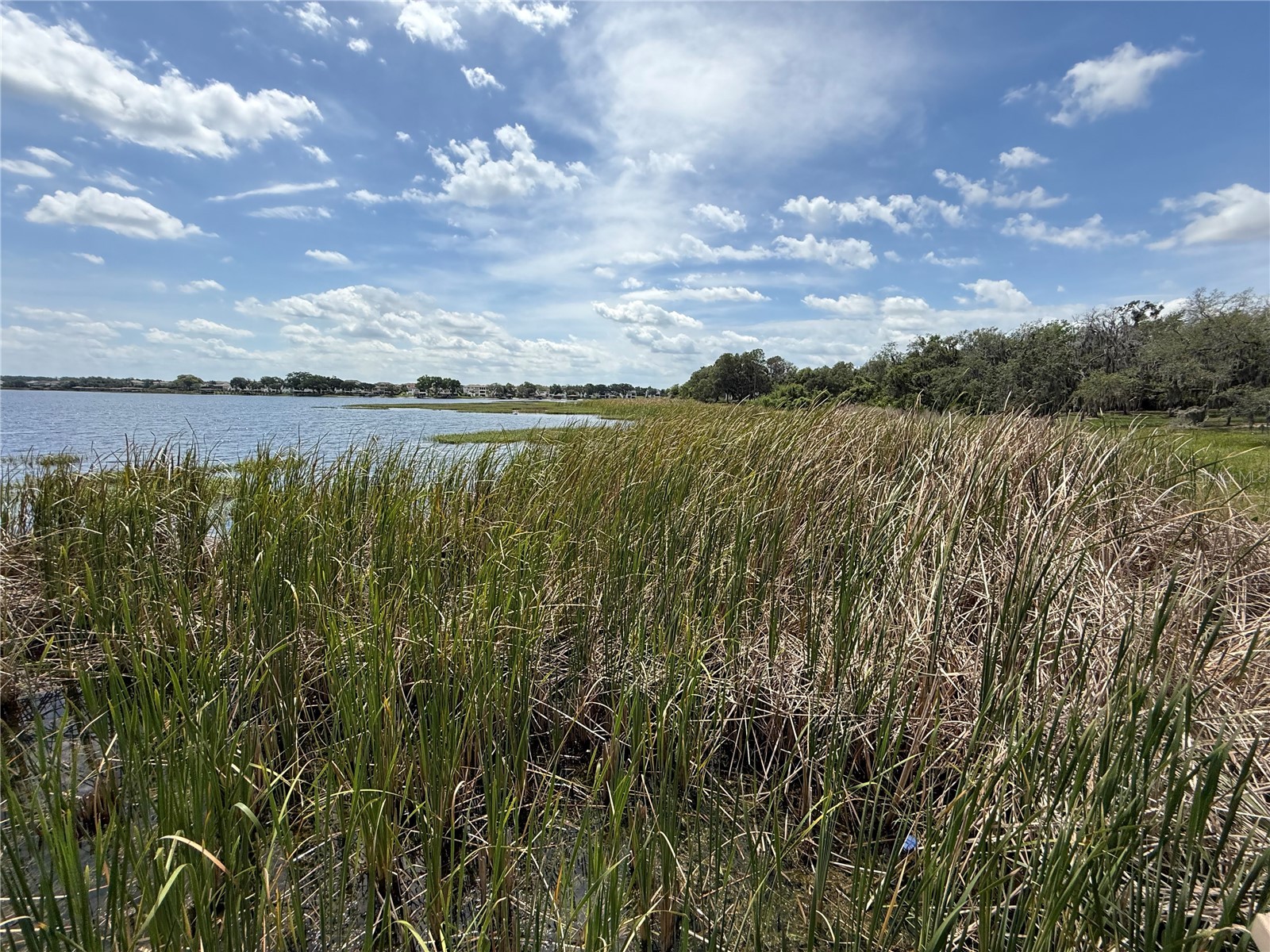 17090 Harbor Oak Parkway Winter Garden FL 34787 G5111718 image38