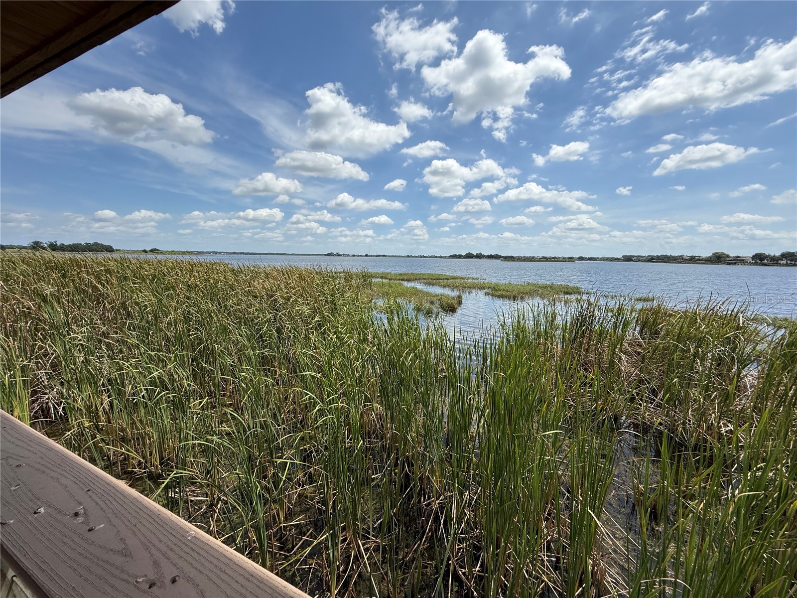 17090 Harbor Oak Parkway Winter Garden FL 34787 G5111718 image39